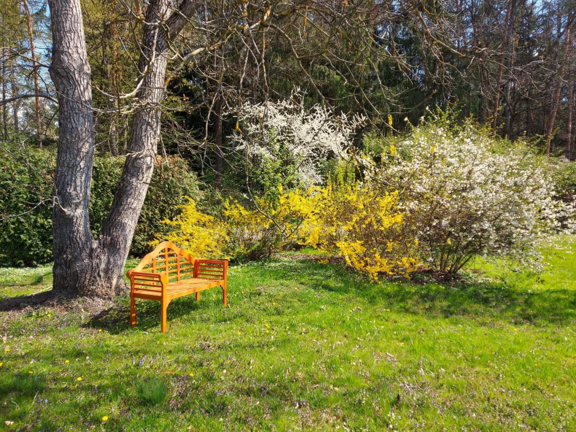 Frühling
